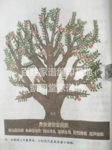 七代世系树